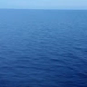 Meet your Posher, Patty